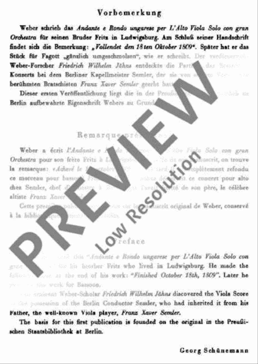 Andante and Rondo ungarese Viola scores gallery preview page 4