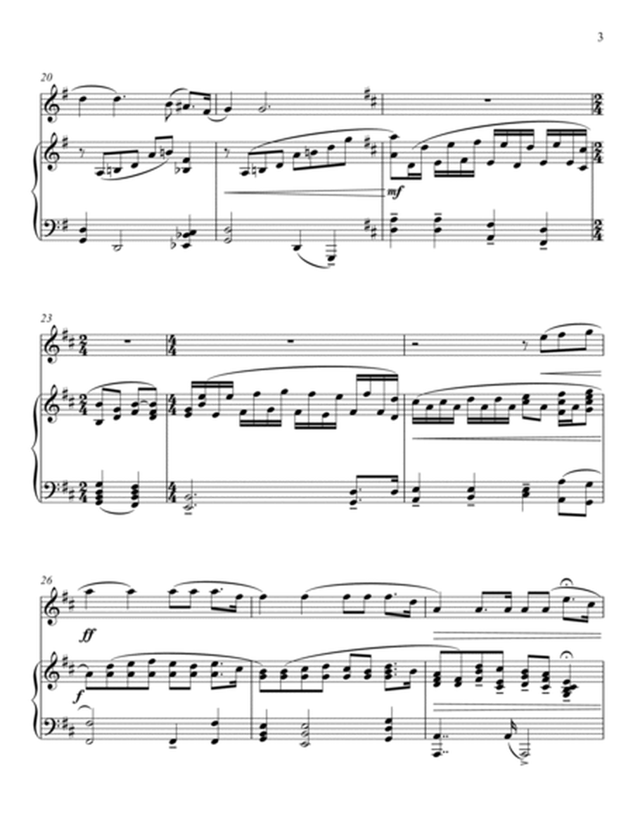Giacomo Puccini - Nessun Dorma - Turandot (Flute Solo) image number null