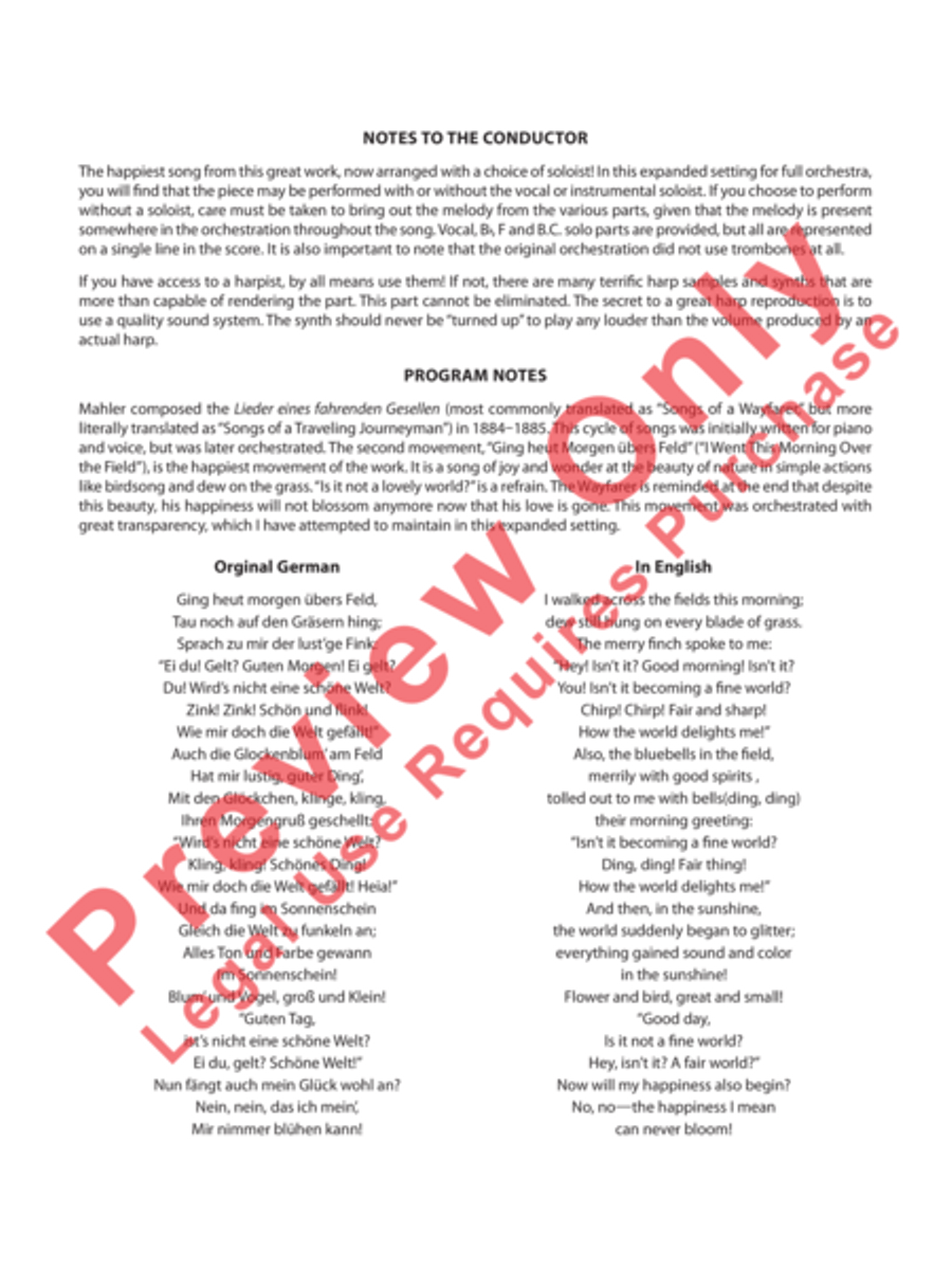 Ging heut Morgen übers Feld Full Orchestra scores gallery preview page 3