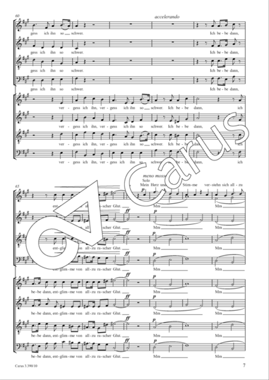 Mein Herz und deine Stimme 4-Part scores gallery preview page 8