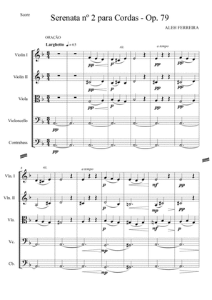 Serenade for Strings No 2