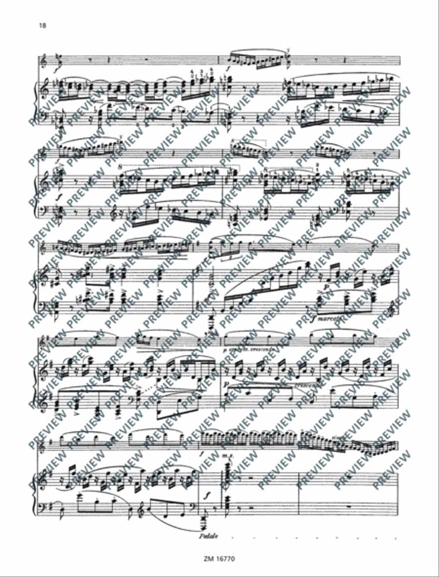 Sonata No. 2 G major Violin Solo scores gallery preview page 19