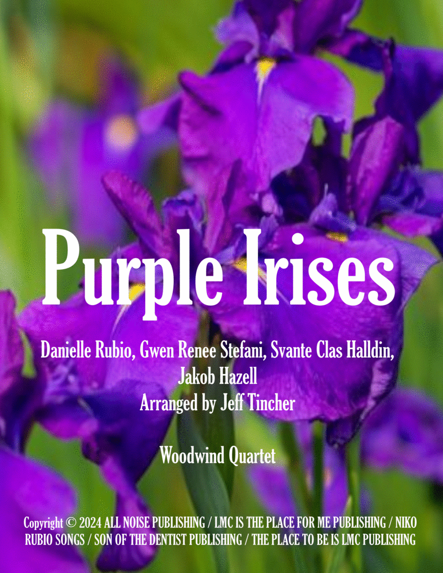 Purple Irises image number null