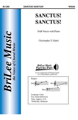 Book cover for Sanctus! Sanctus!