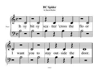 BC Spider