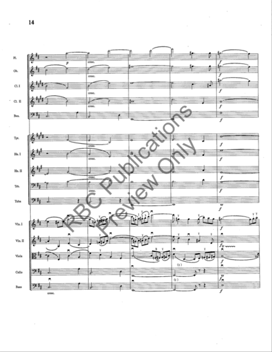 Siegfried Idyll Full Orchestra scores gallery preview page 15