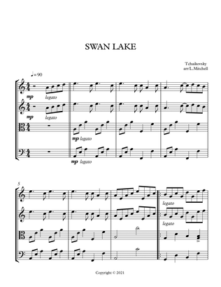 Book cover for SWAN LAKE