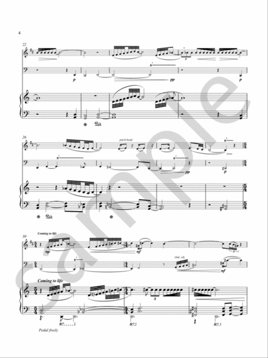 Silver Dagger Chamber Music scores gallery preview page 5