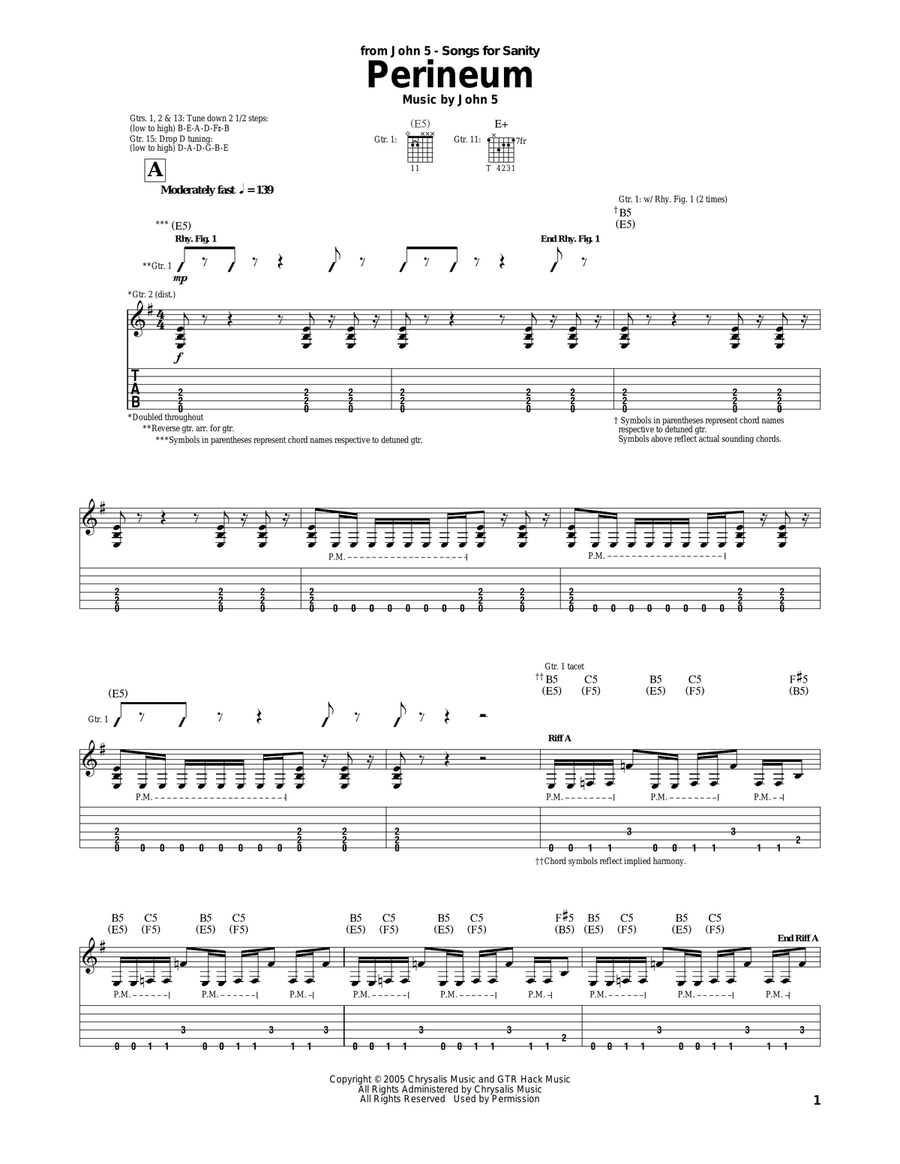Perineum Perineum Acoustic Guitar scores gallery preview page 1