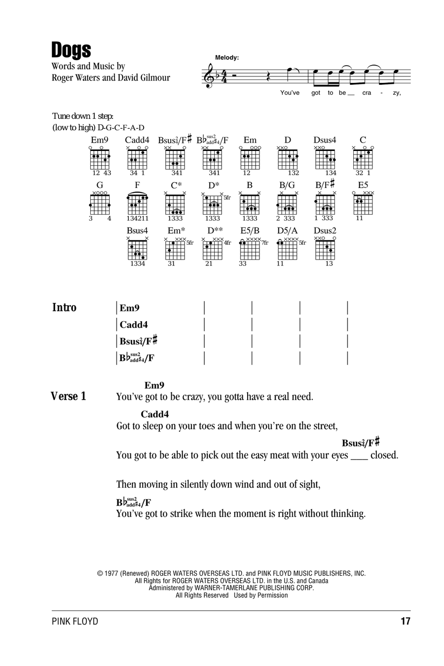 Dogs Acoustic Guitar scores gallery preview page 1