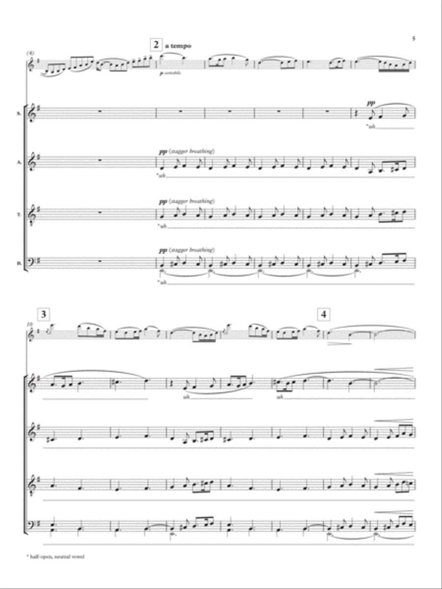 The Lark Ascending Mixed Choir scores gallery preview page 5