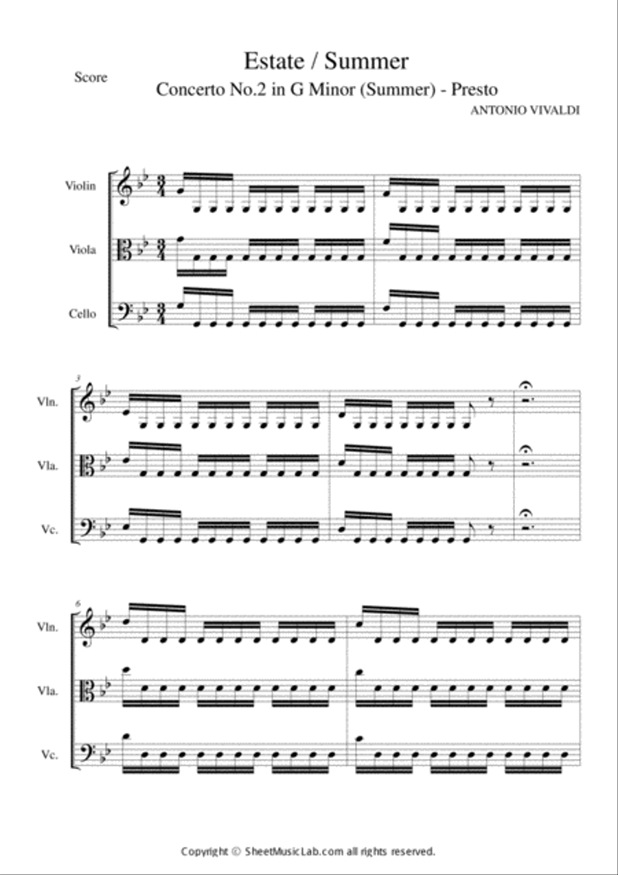 Storm Cocerto No.2 in G Minor (Summer) String Trio scores gallery preview page 1