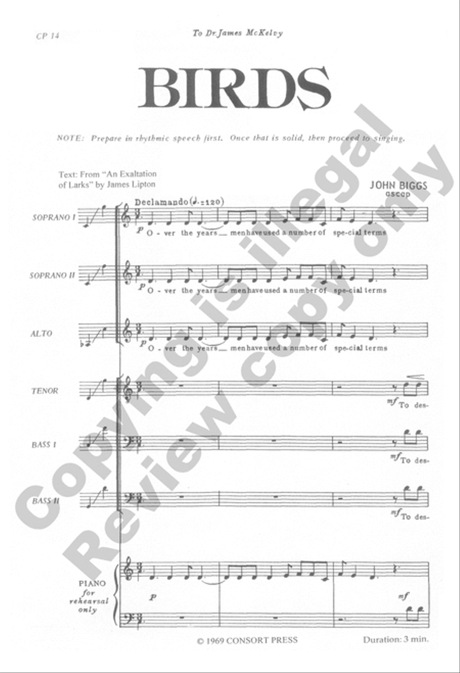 Birds A Cappella scores gallery preview page 14