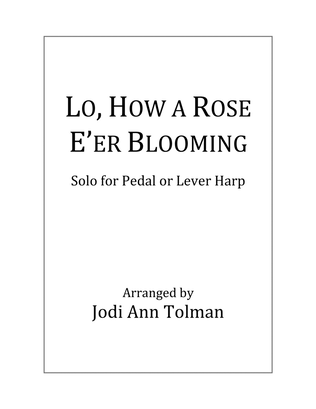 Lo, How a Rose E'er Blooming, Harp Solo