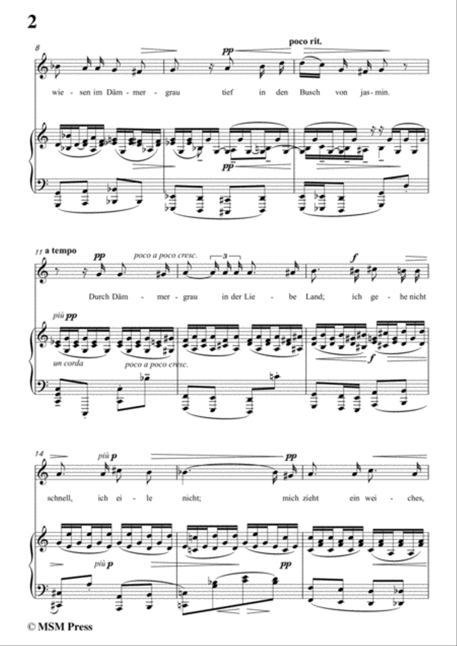 Reger-Traum durch die Dämmerung in C Major,for Voice and Piano Voice Solo scores gallery preview page 4