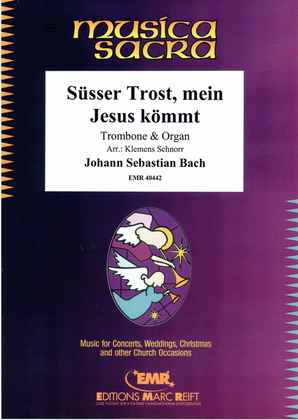Book cover for Susser Trost, mein Jesus kommt