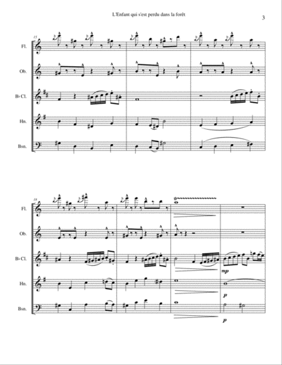 L'Enfant qui s'est perdu dans la forêt Woodwind Quintet scores gallery preview page 3