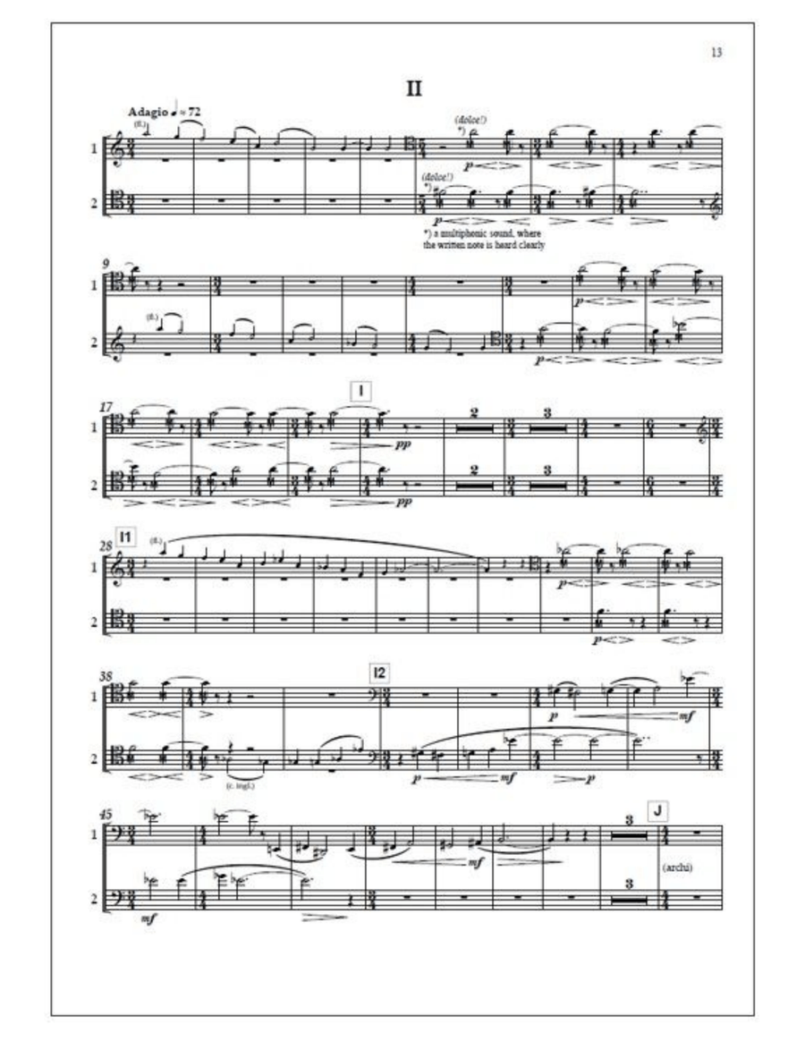 Double concerto for two bassoons and orchestra - Solo part Bassoon Solo scores gallery preview page 3