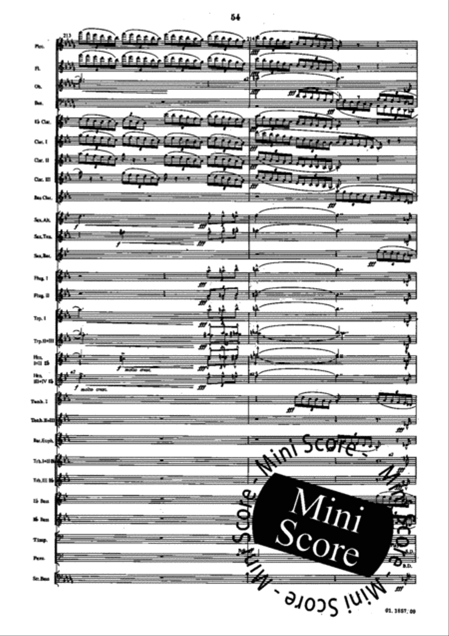 Evocazioni Evocazioni Concert Band scores gallery preview page 58