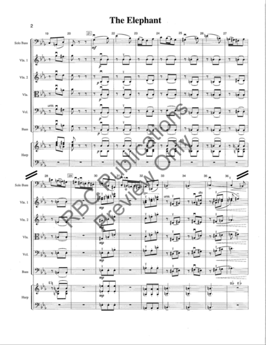 Elephant Solo Bass/ (Score) String Orchestra scores gallery preview page 5