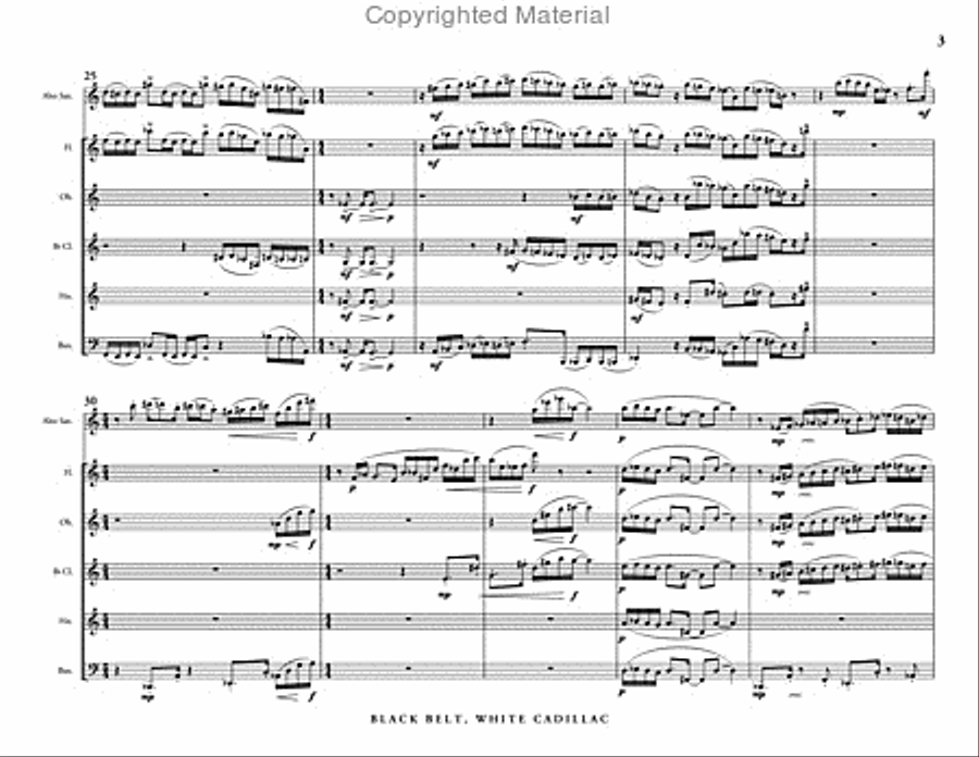 Black Belt, White Cadillac (score & parts) Woodwind Quintet scores gallery preview page 4
