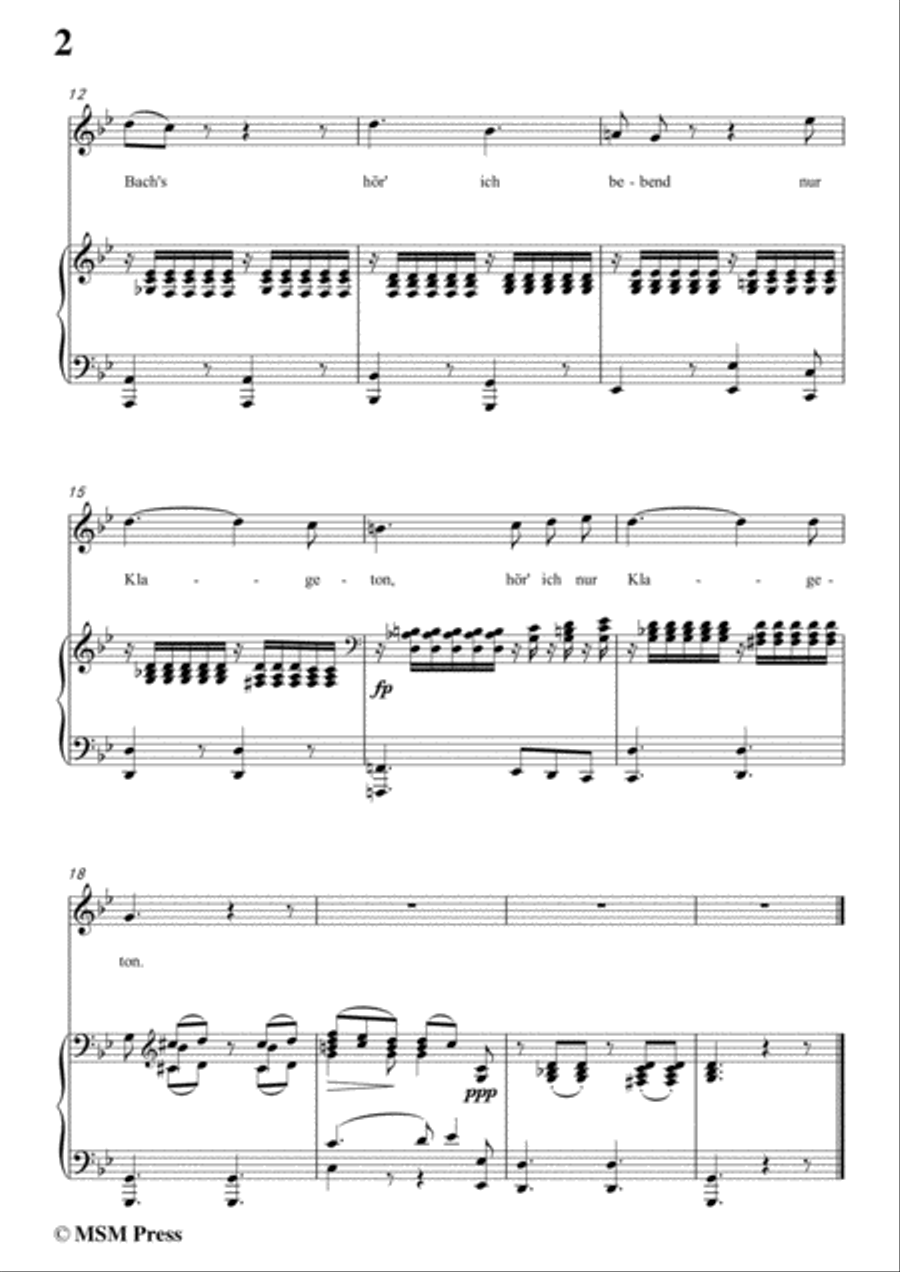 Schubert-Klaglied,Op.131 No.3,in g minor,for Voice&Piano Voice scores gallery preview page 4