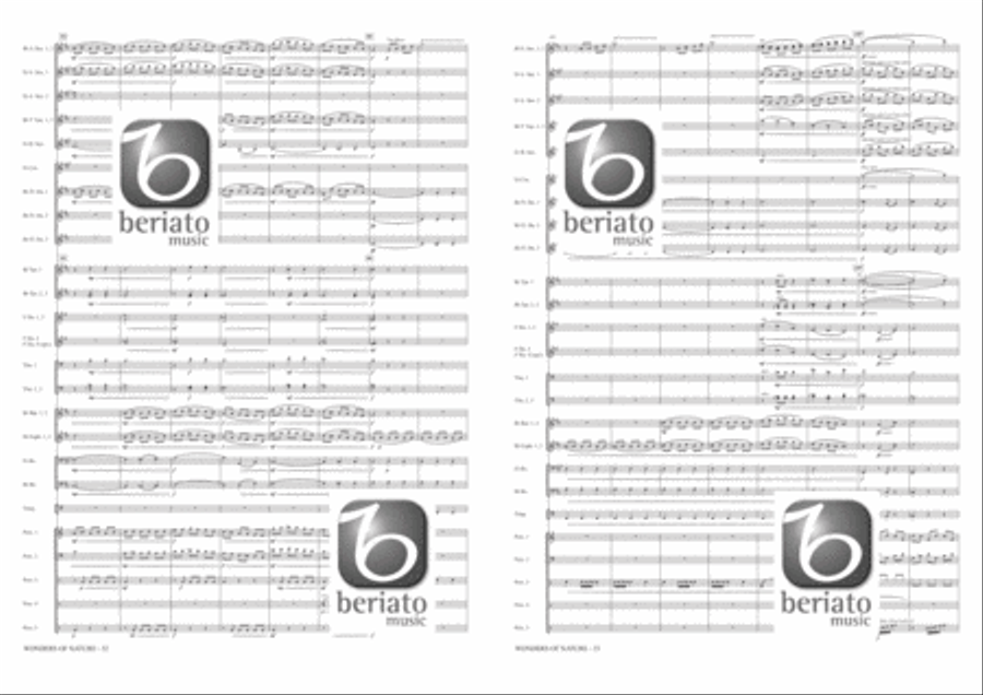 Wonders of Nature Fanfare Band scores gallery preview page 20