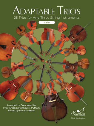 Book cover for Adaptable Trios