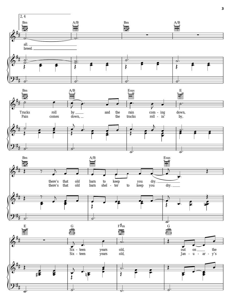 Born To The Breed Piano, Vocal, Guitar scores gallery preview page 3