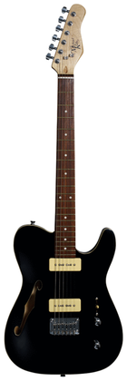 Book cover for 59 Thinline Electric Guitar with Gloss Black Finish
