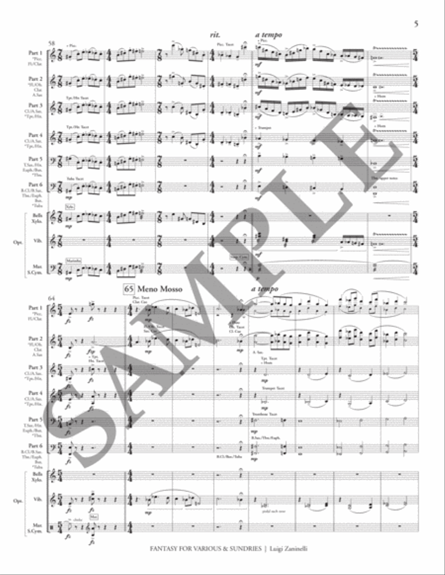 Fantasy for Various & Sundries (condensed score) Flexible/Adaptable scores gallery preview page 8