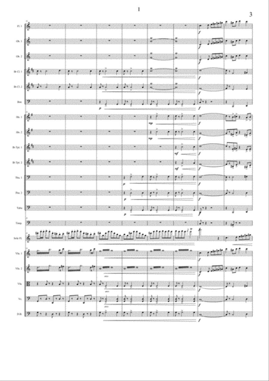 Flute Concerto, op. 17 Full Orchestra scores gallery preview page 5