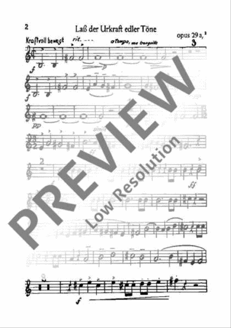 Wandspruch-Kantate TTBB scores gallery preview page 3