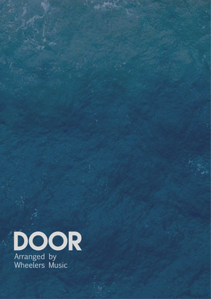 Book cover for Door