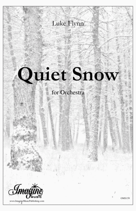 Book cover for Quiet Snow