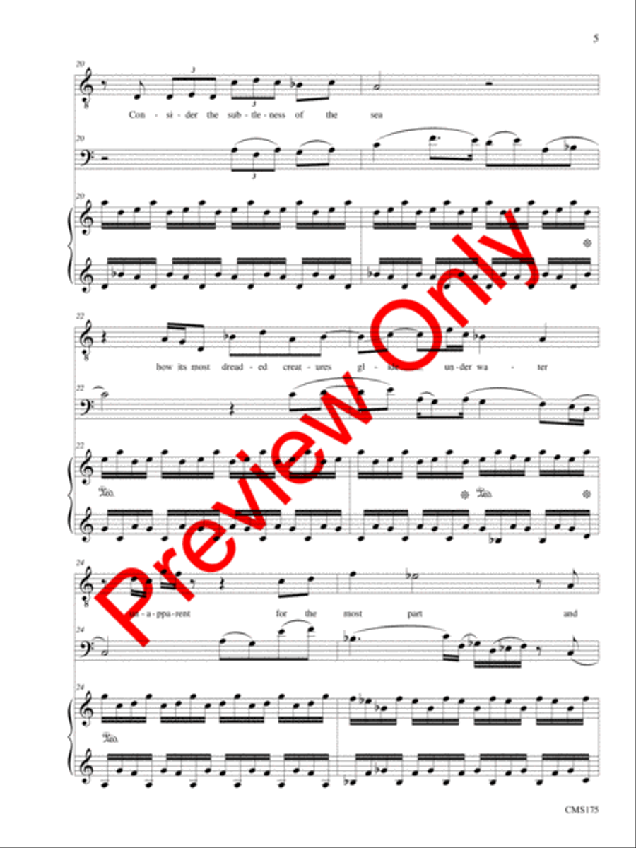 Songs of Solemn Confession: A Song Cycle Bassoon scores gallery preview page 6