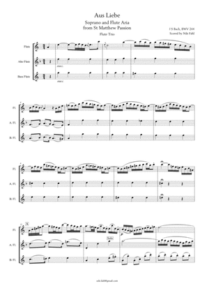 Book cover for J S Bach Aus Liebe from St Matthew Passion, BWV 244. Flute trio (Flute, Alto Flute and Bass Flute)