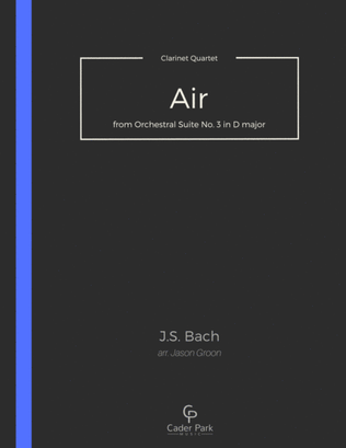 Book cover for Air (on the G String)