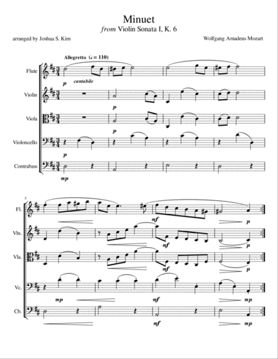 Minuet for String Ensemble & Flute (K. 6) Chamber Orchestra scores gallery preview page 1