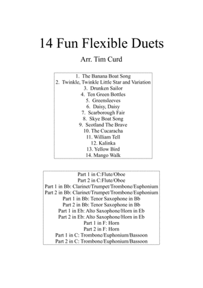 Book cover for 14 Fun Flexible Duets