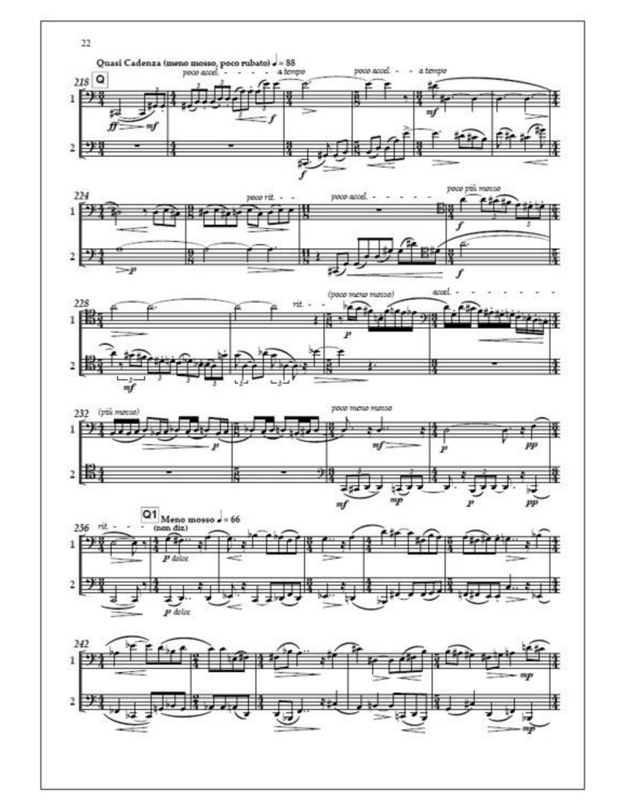 Double concerto for two bassoons and orchestra - Solo part Bassoon Solo scores gallery preview page 5
