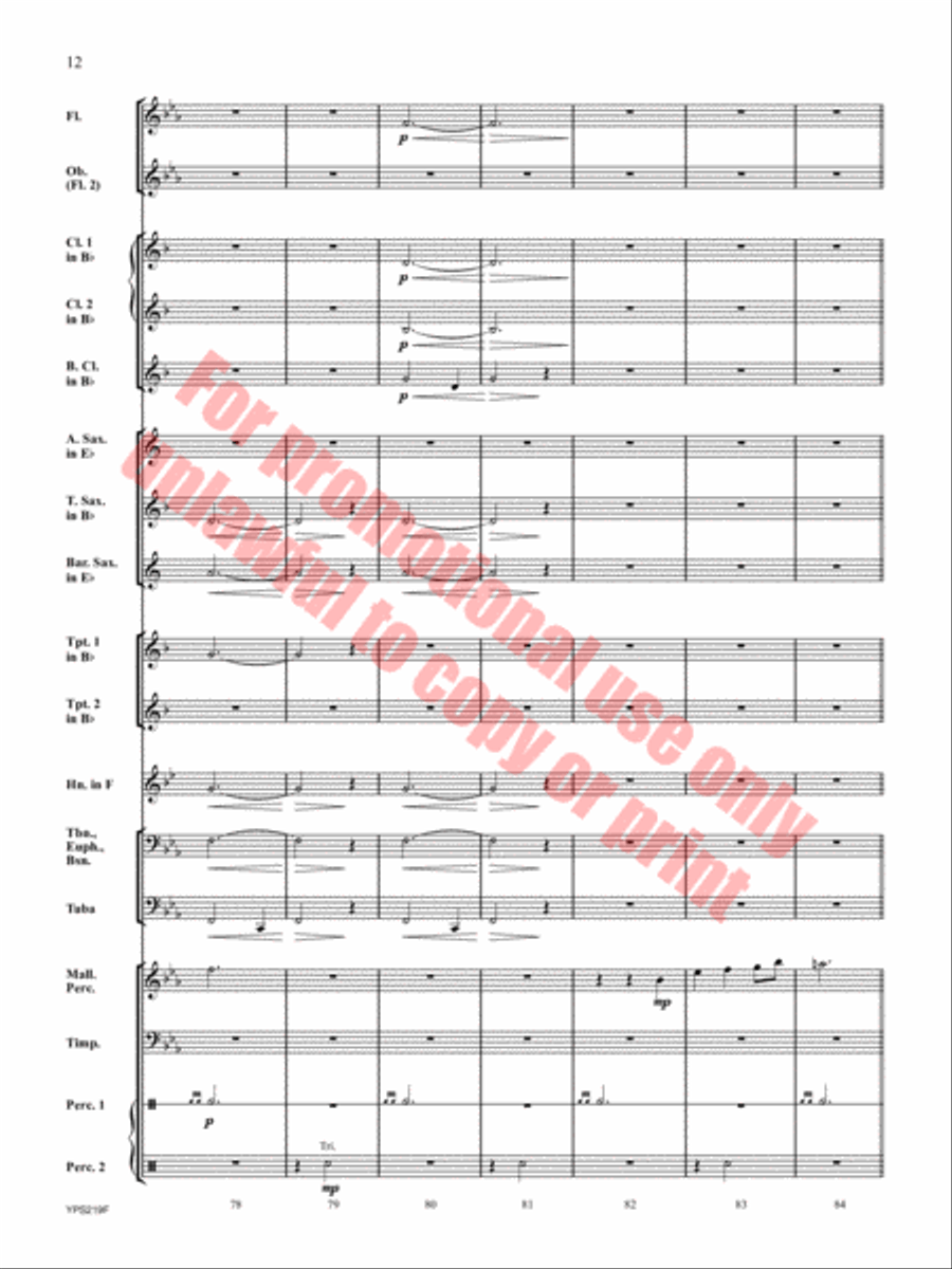 Trek to the Summit Concert Band scores gallery preview page 13