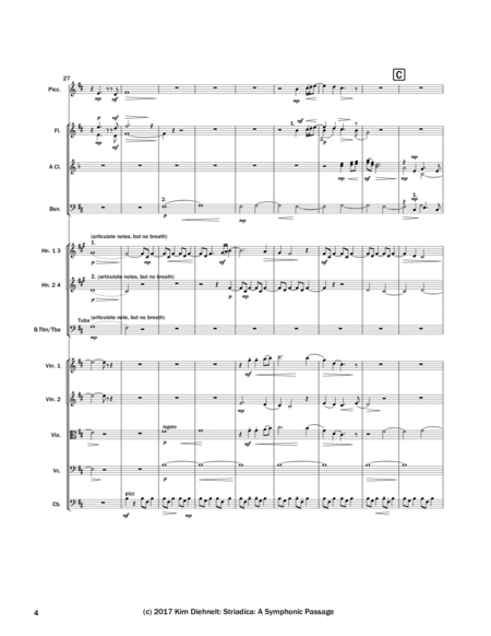 Diehnelt: Striadica - A Symphonic Passage - SCORE image number null