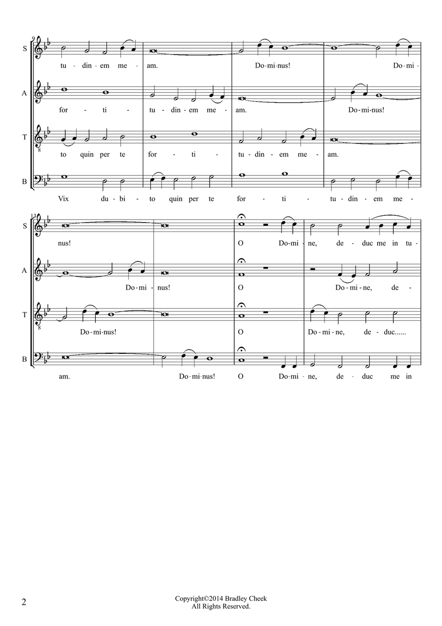 Vix Dubito Small Ensemble scores gallery preview page 2