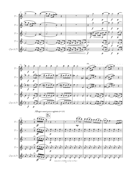 Quartet in A Minor Op122 No1 for Flute Quartet image number null