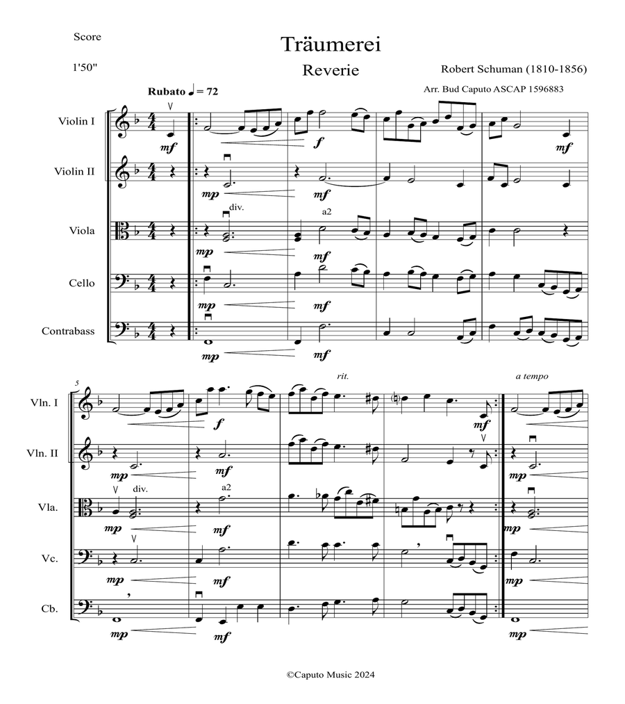 Traumerei Arranged For String Orchestra image number null