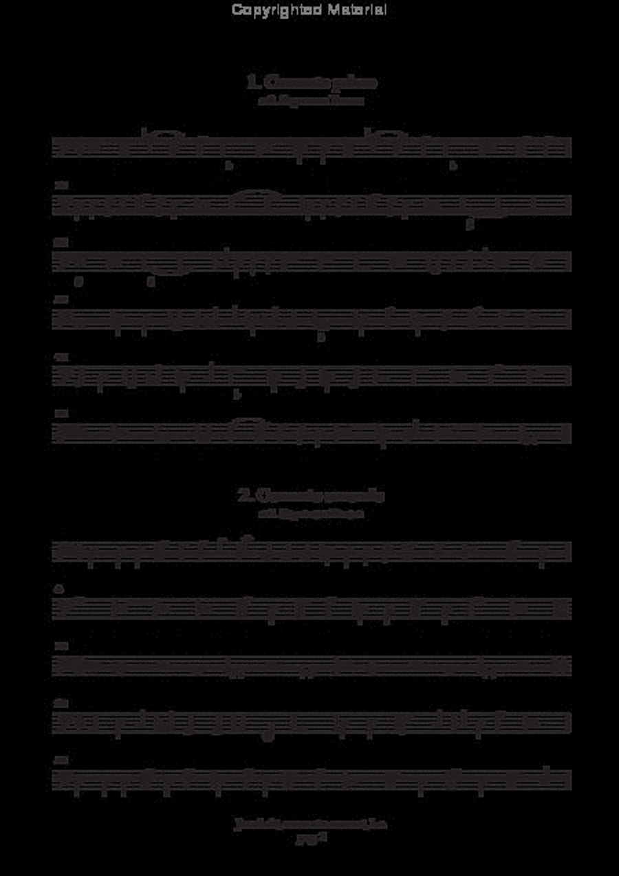 Canzoni e concerti (ms, D-B, 1627) Basso Continuo scores gallery preview page 5