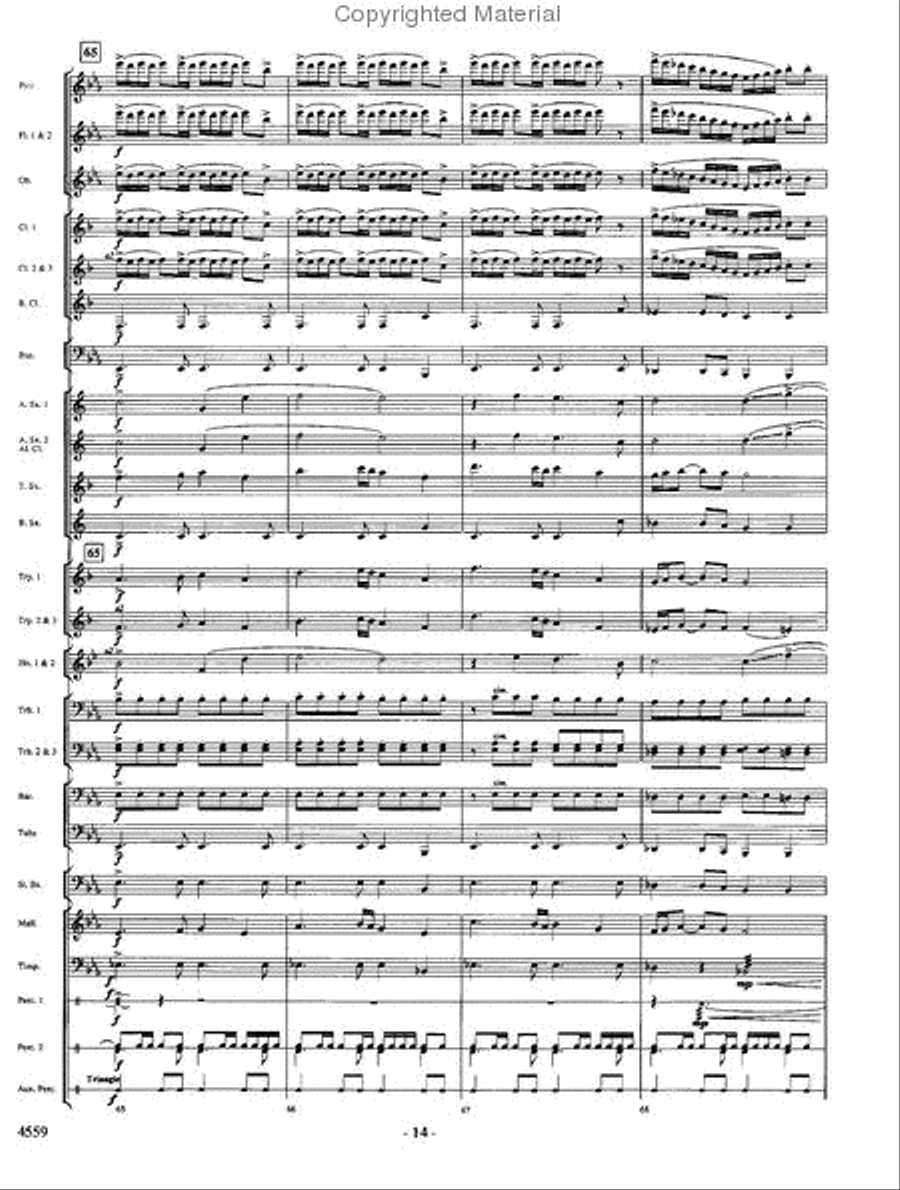 Into the Raging River Into the Raging River Concert Band scores gallery preview page 13