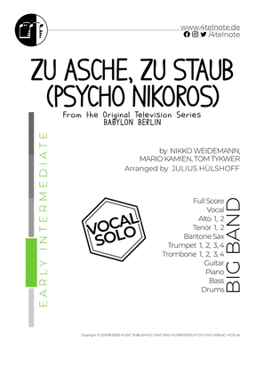 Book cover for Zu Asche, Zu Staub