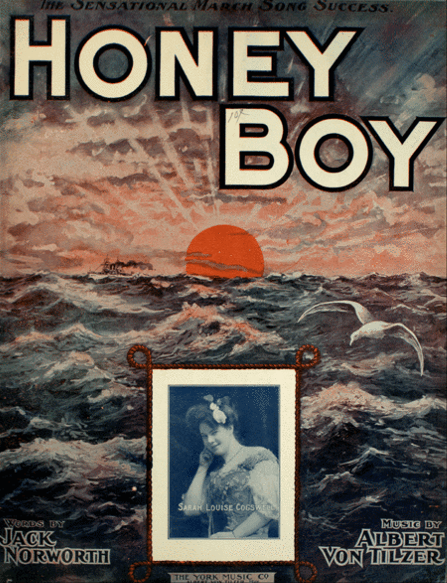 Honey Boy Voice scores gallery preview page 1